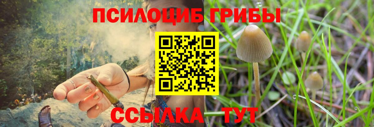 Галлюциногенные грибы Magic Shrooms  Вход с VPN  Верхний Уфалей 